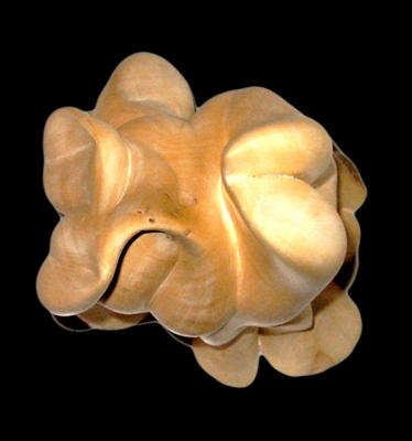 "Flame"-(citronier)-35cm