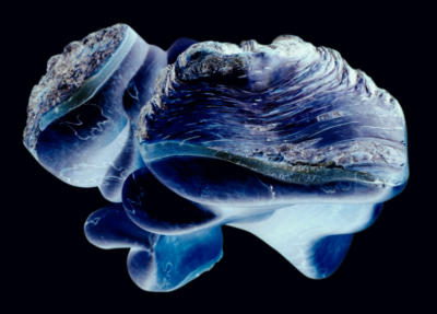 levitationomicron(60x43)