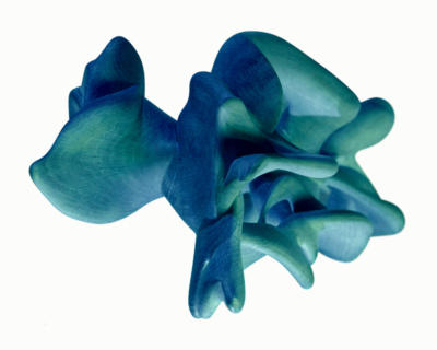 levitationtheta(55x44)